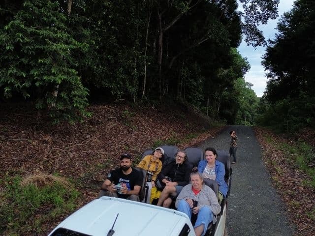 Beluran Wildlife Safari | Borneo