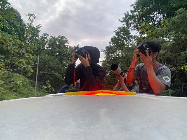 Beluran Wildlife Safari | Borneo