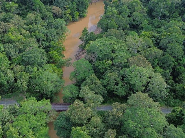 Beluran Wildlife Safari | Borneo
