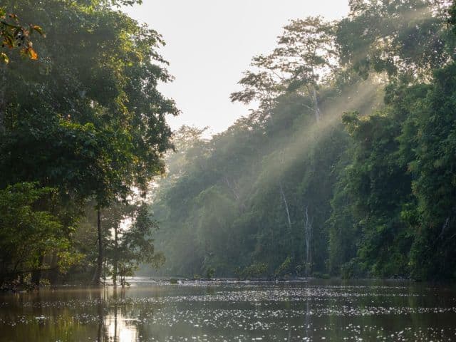 Beluran Wildlife Safari | Borneo