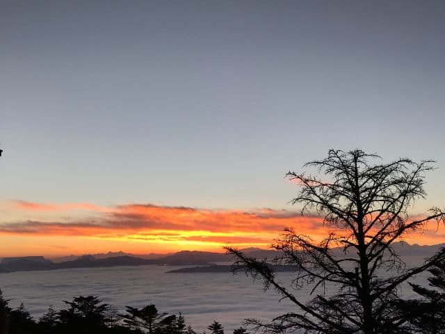 Mt. Emei & Monastery Culture 2 Days Tour | Sichuan