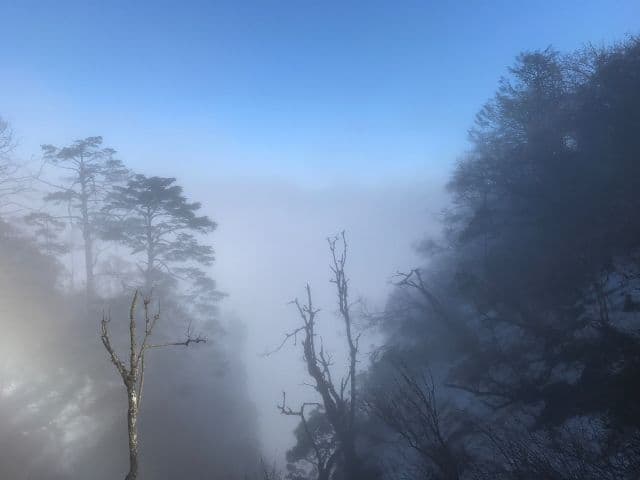 Mt. Emei & Monastery Culture 2 Days Tour | Sichuan