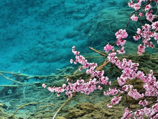 Jiuzhai origins five-day tour | Sichuan