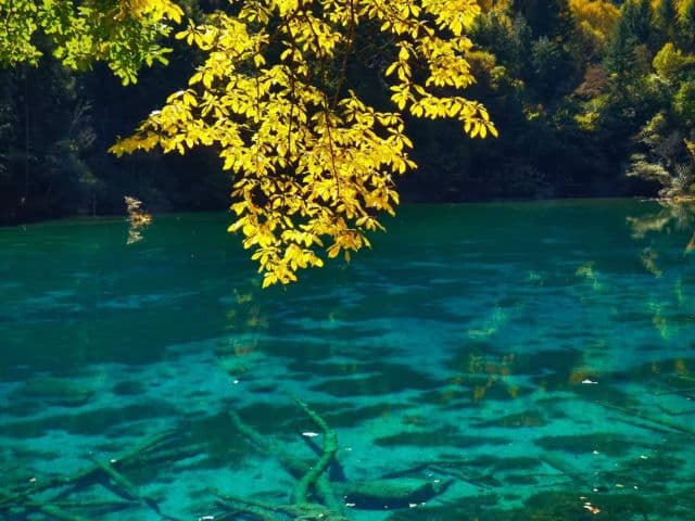 Jiuzhai origins five-day tour | Sichuan