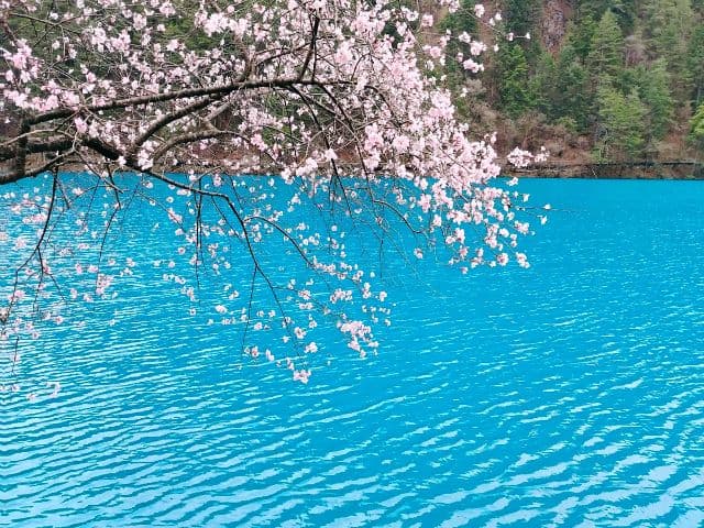 Jiuzhai origins five-day tour | Sichuan