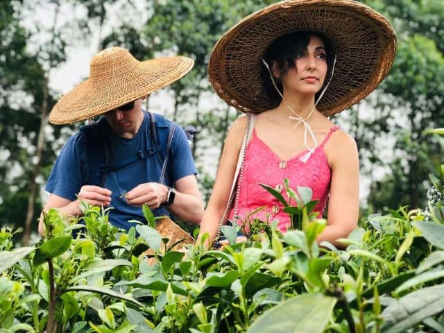 Giant Buddha & Tea Terrace Day Tour | Chengdu