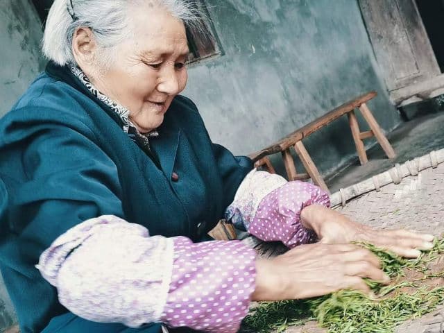 Giant Buddha & Tea Terrace Day Tour | Chengdu