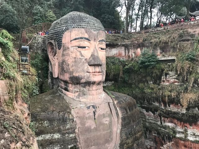 Giant Buddha & Tea Terrace Day Tour | Chengdu
