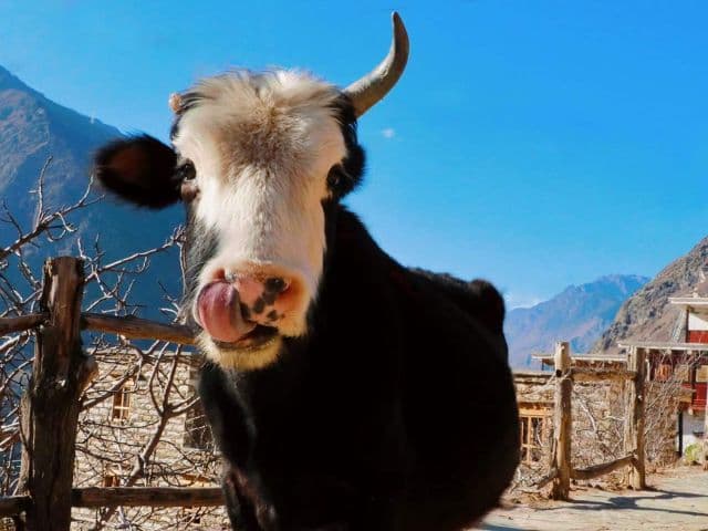 Discover Western Sichuan