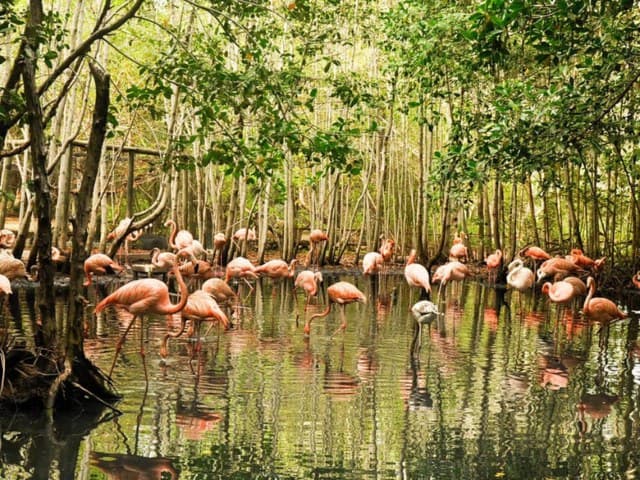 National Aviary trip from Cartagena