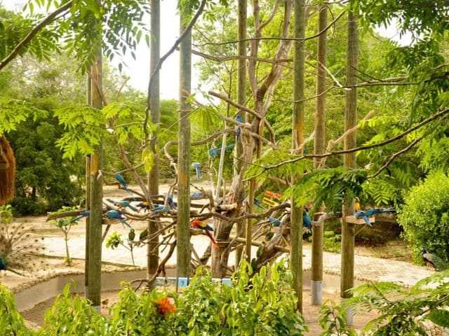 National Aviary trip from Cartagena