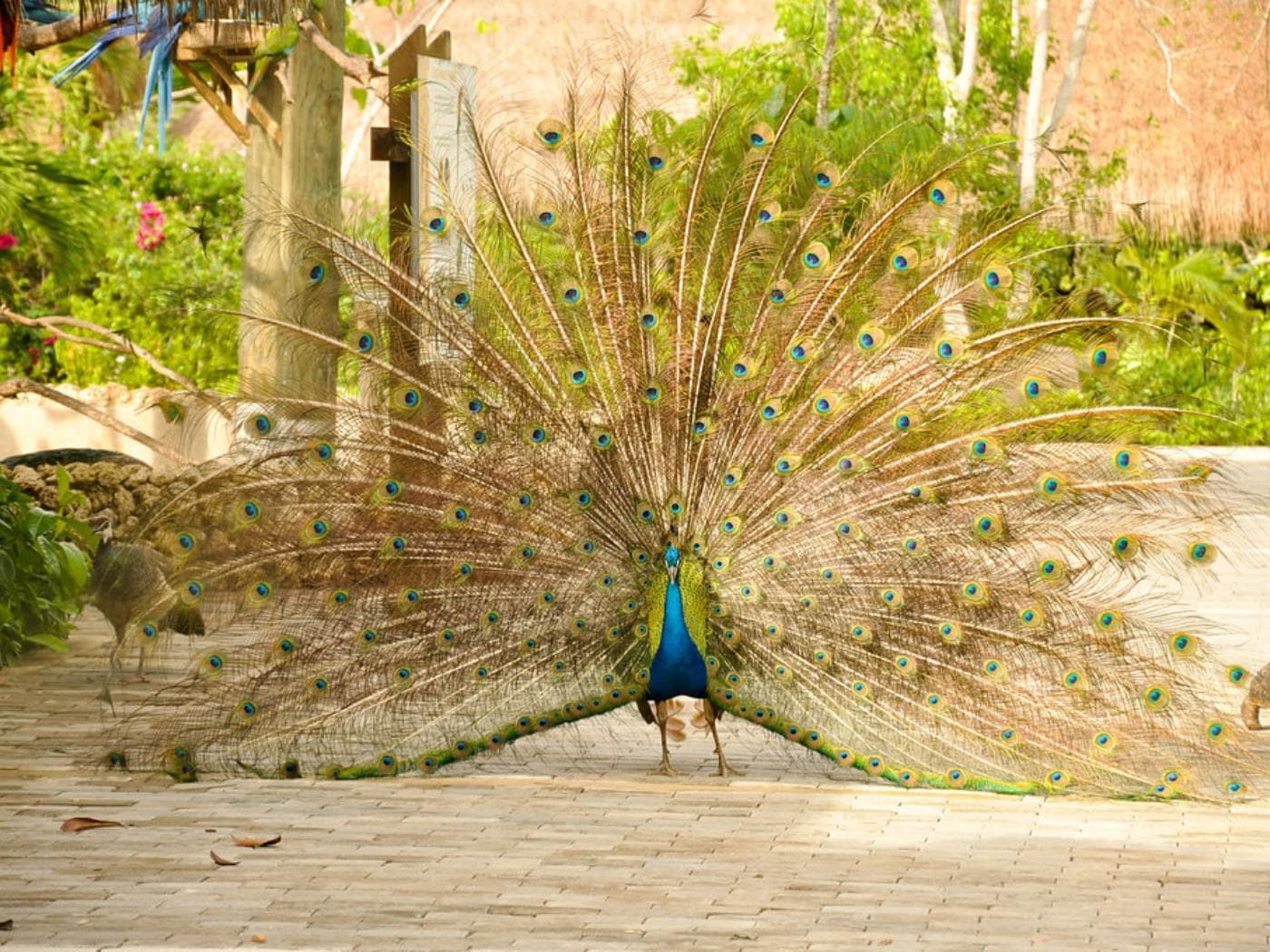 National Aviary trip from Cartagena