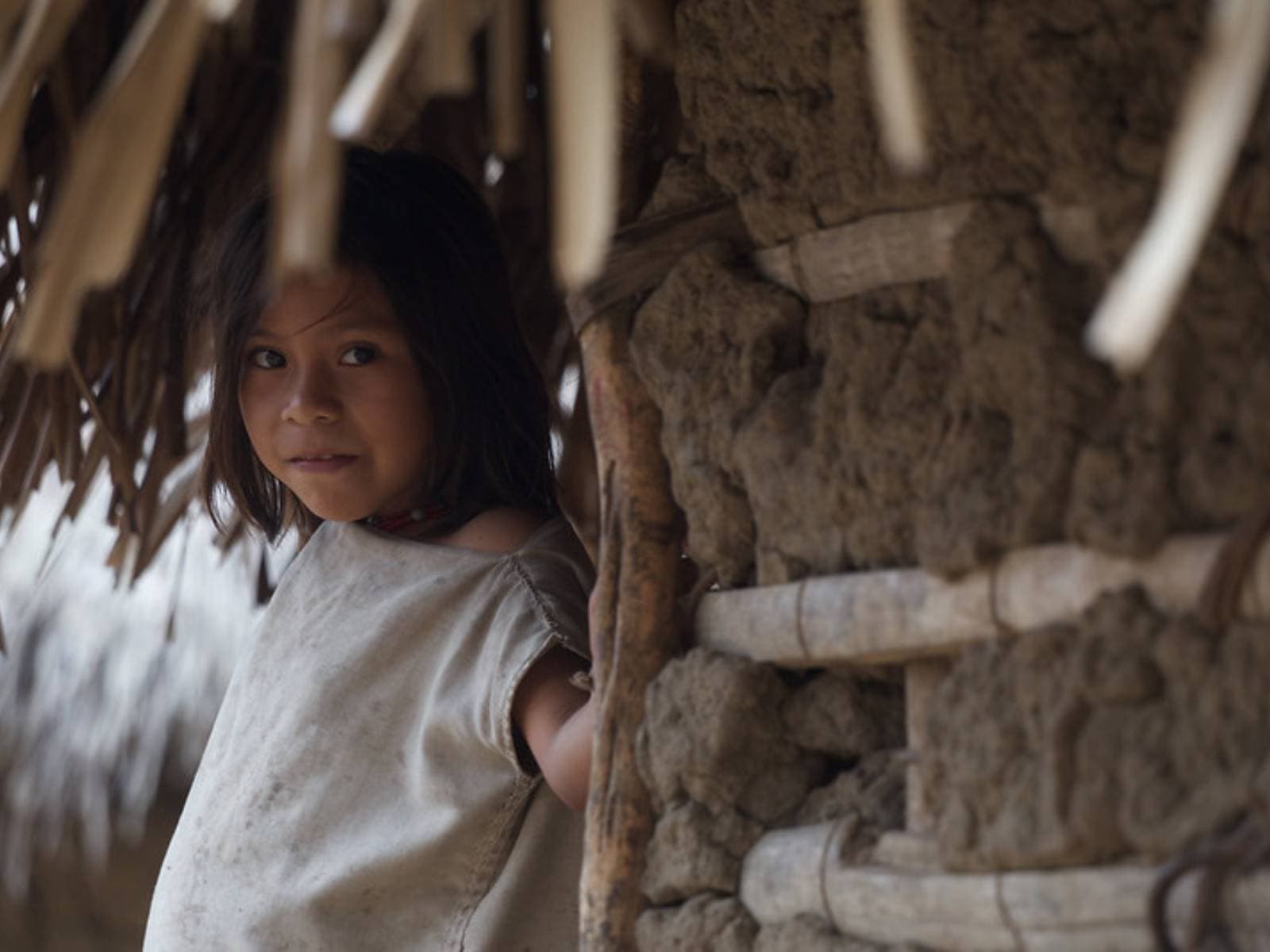 Live the Kogui magic in Tungueka | Colombia