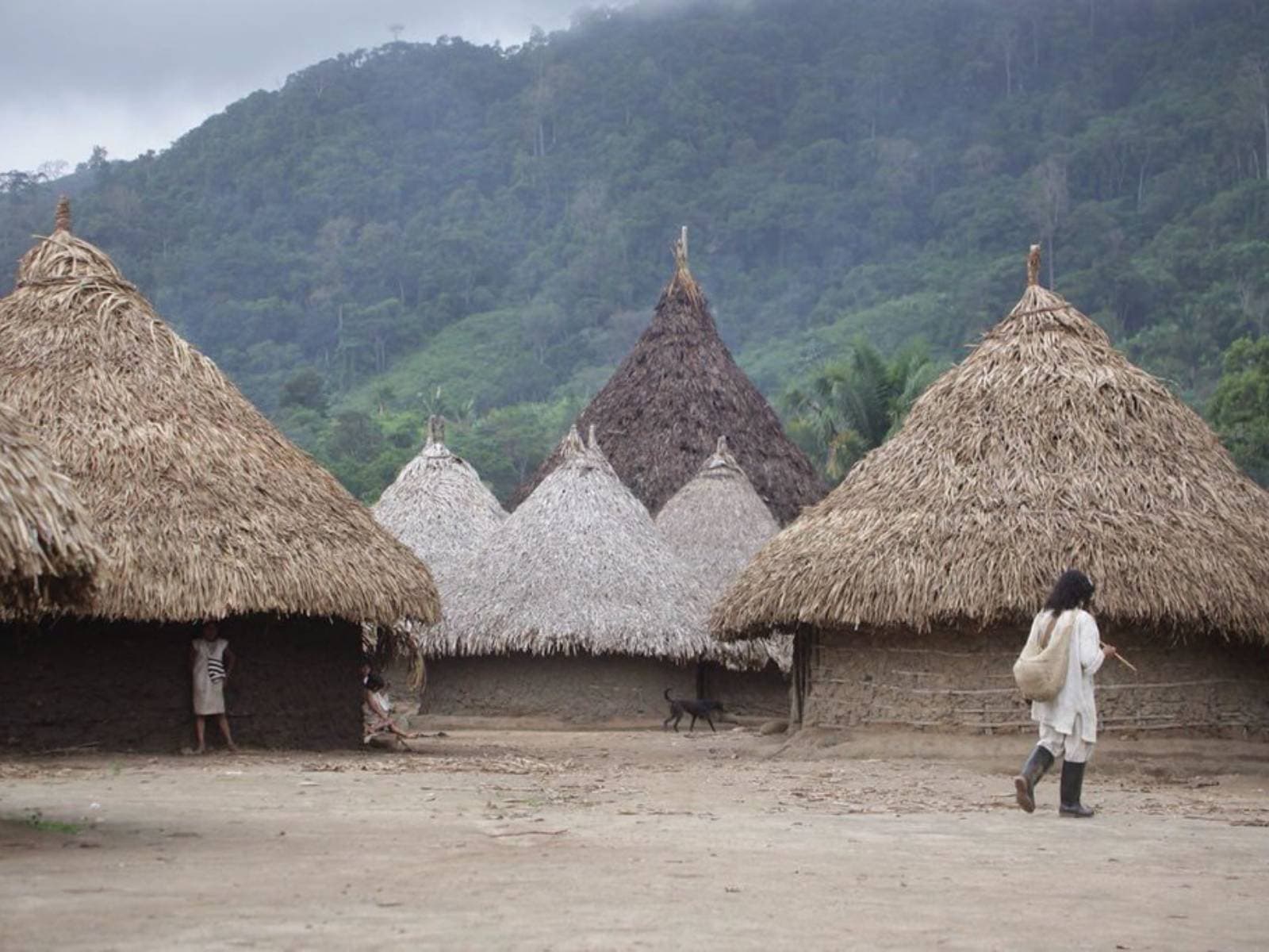 Live the Kogui magic in Tungueka | Colombia