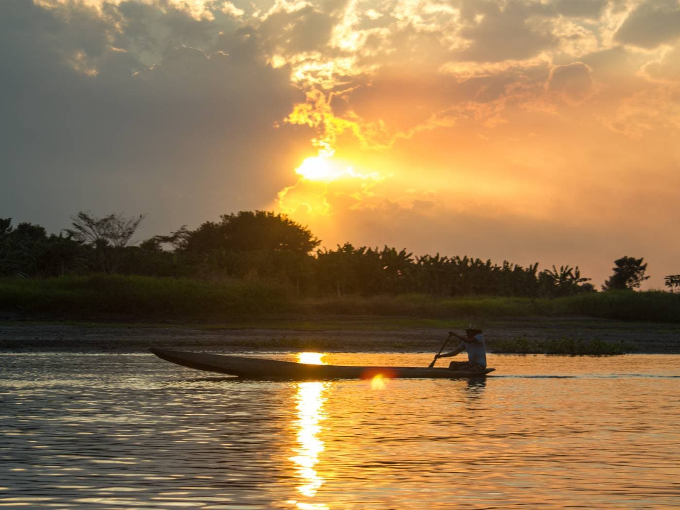 Birdwatching boat tour in Mompox