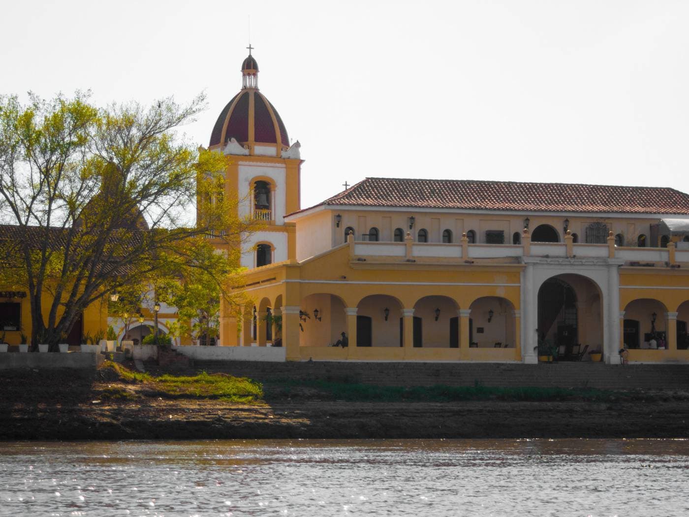 Birdwatching boat tour in Mompox