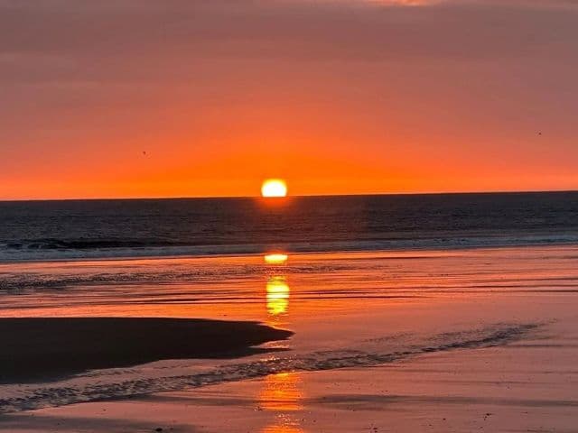 Sunset cruise | Farne Island