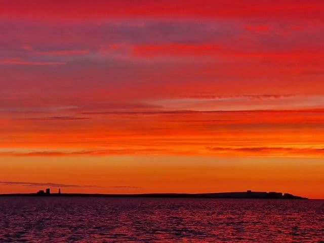 Sunset cruise | Farne Island