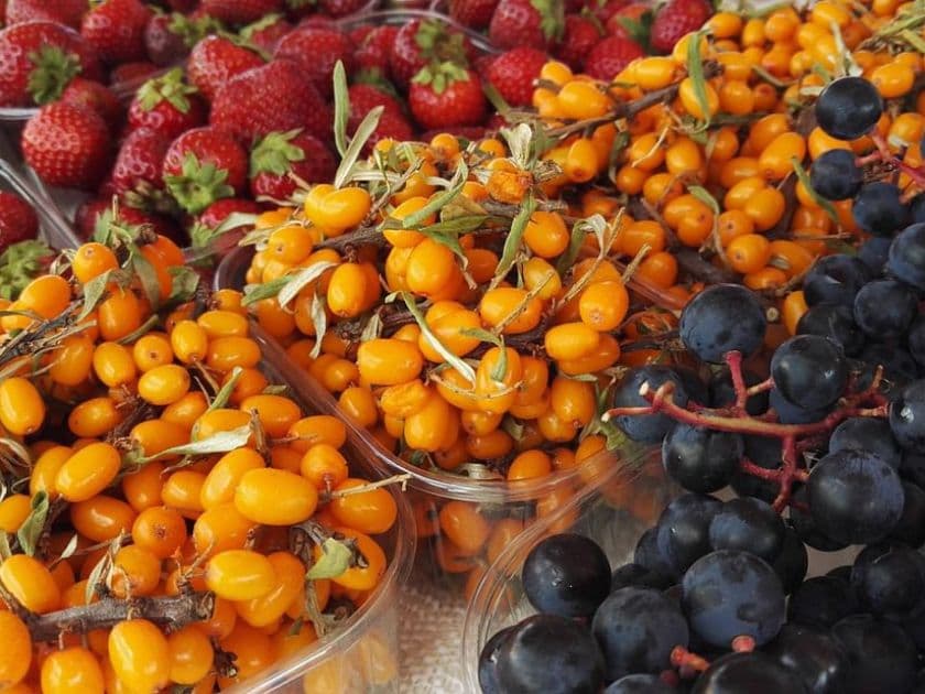 Private Food & Beer Tasting | Helsinki