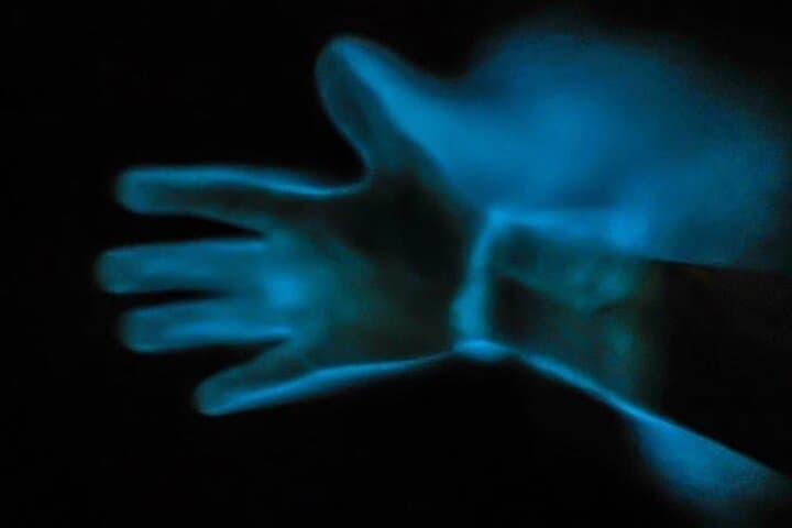 Bioluminescence Kayak Tour