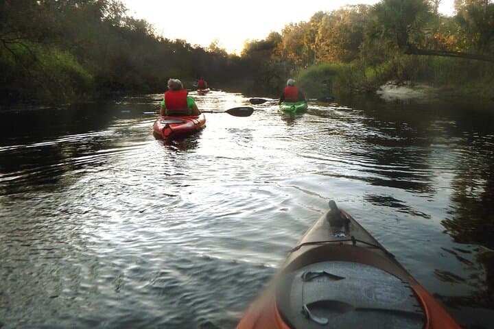 Manatee & Dolphin Kayak Tour