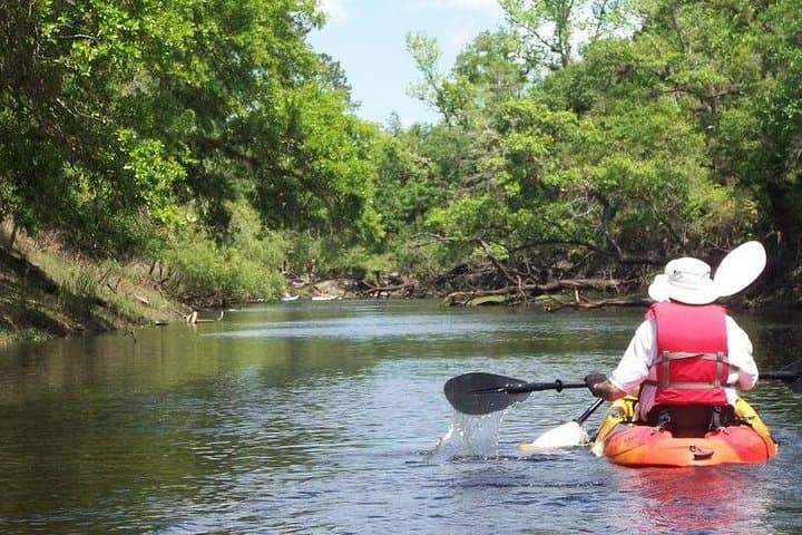 Manatee & Dolphin Kayak Tour