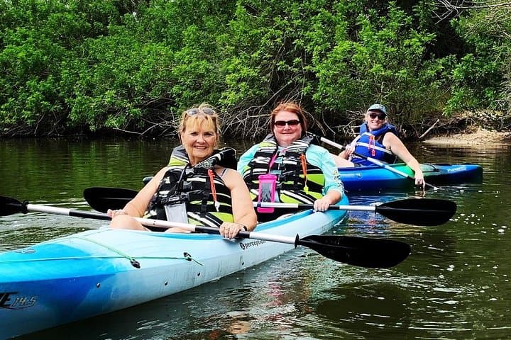 Manatee & Dolphin Kayak Tour
