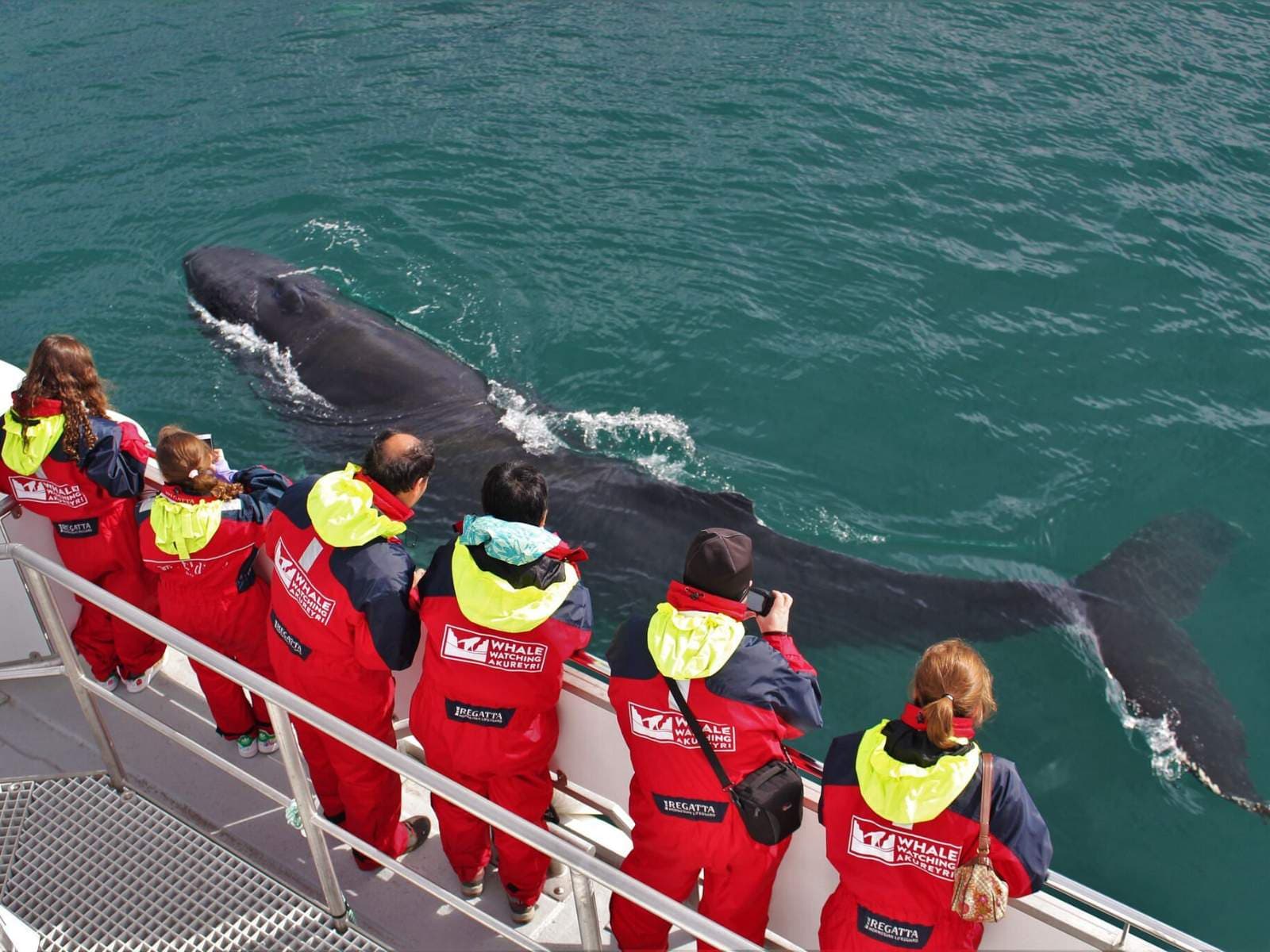 Akureyri Express Whales & Eyjafjord | Iceland