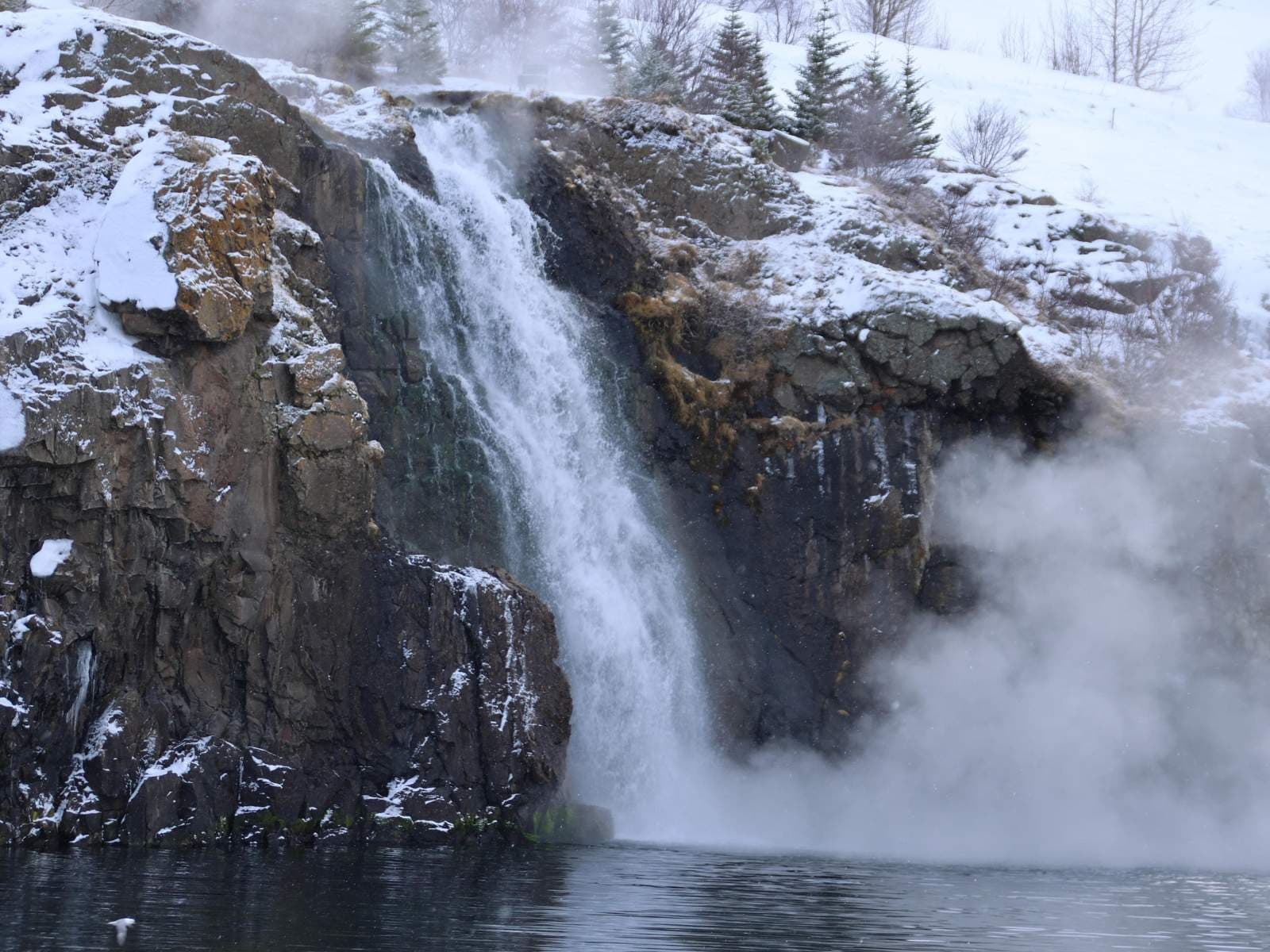 Akureyri Express Whales & Eyjafjord | Iceland
