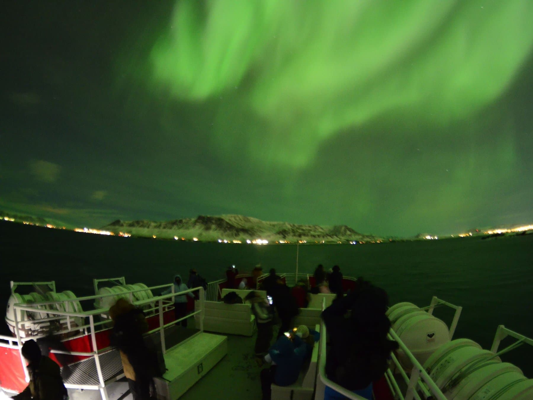 Reykjavík Northern Lights Cruise without pickup
