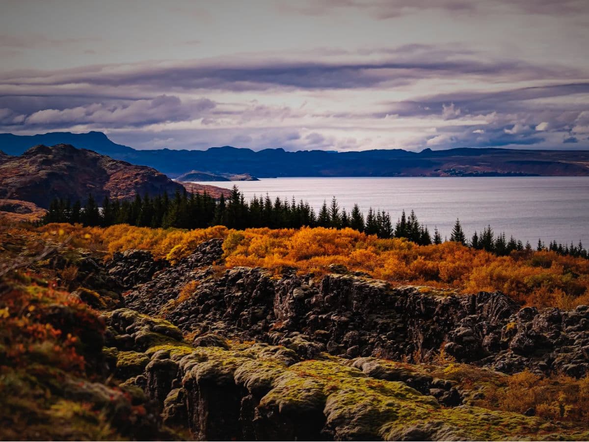 Small group Golden Circle and Waterfalls, with Friðheimar Farm and Kerið