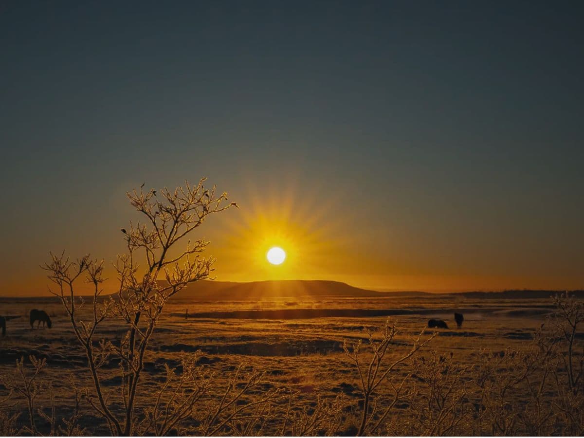 Small group Golden Circle and Waterfalls, with Friðheimar Farm and Kerið