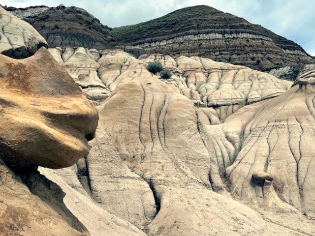 Drumheller & Badlands Tour from Calgary