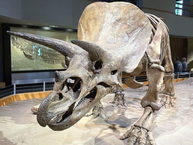 Drumheller & Badlands Tour from Calgary