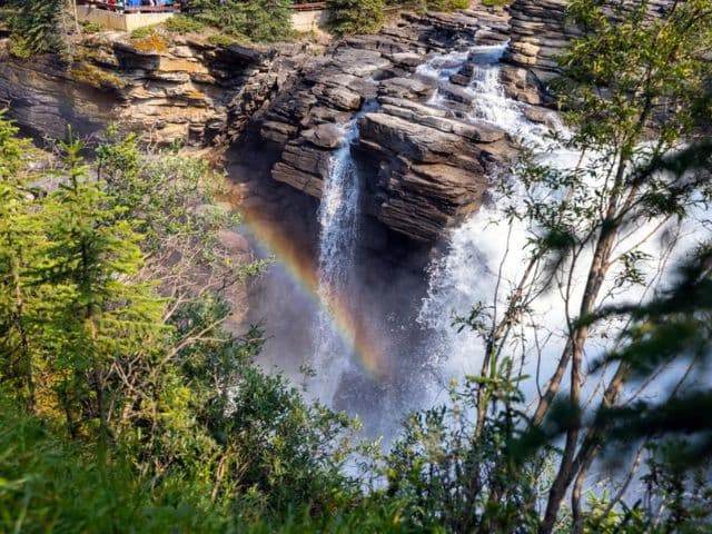 Jasper Highlights Small Group Half Day Tour