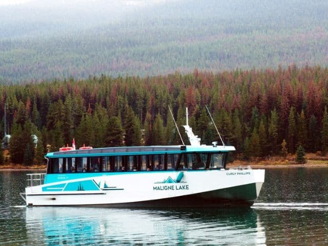 Jasper Highlights Small Group Half Day Tour