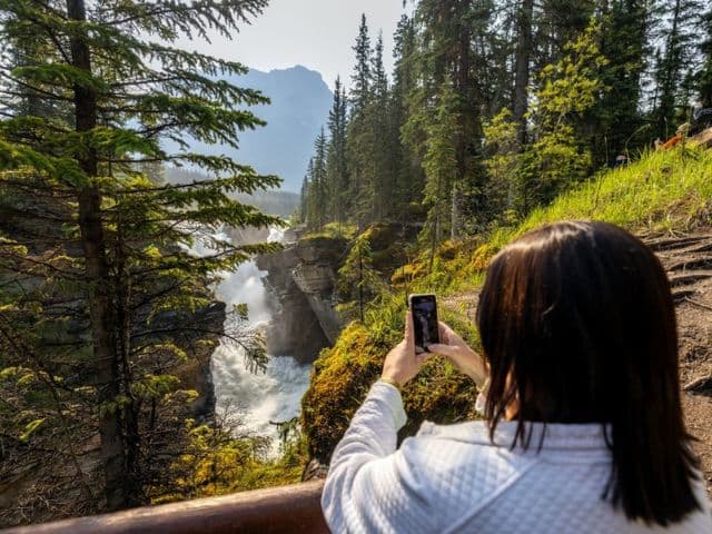 Jasper Highlights Small Group Half Day Tour