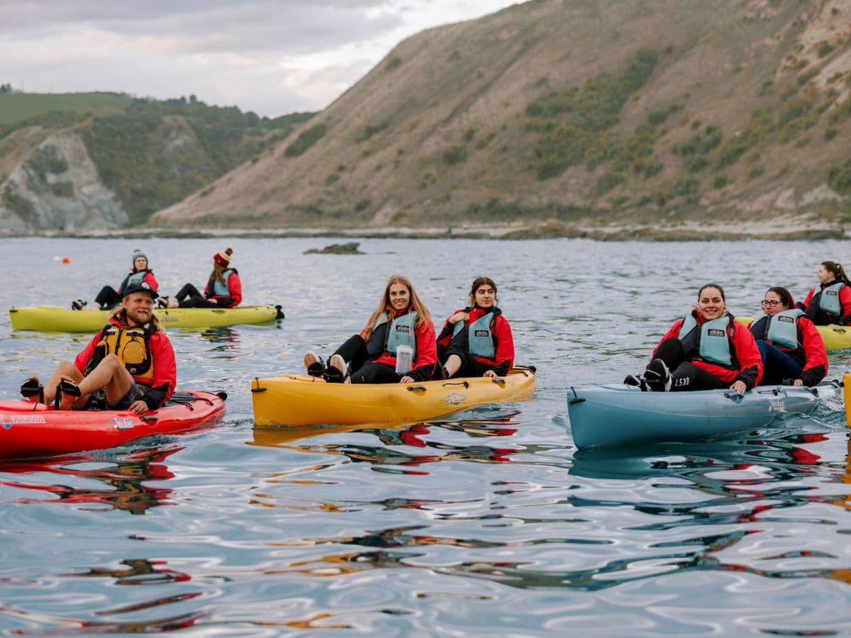 Seal Kayak Tour | Kaikoura