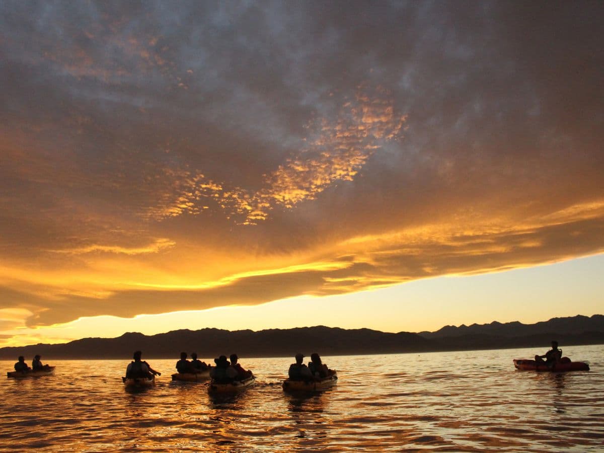 Sunset Marine Life Kayak Tour | Kaikoura