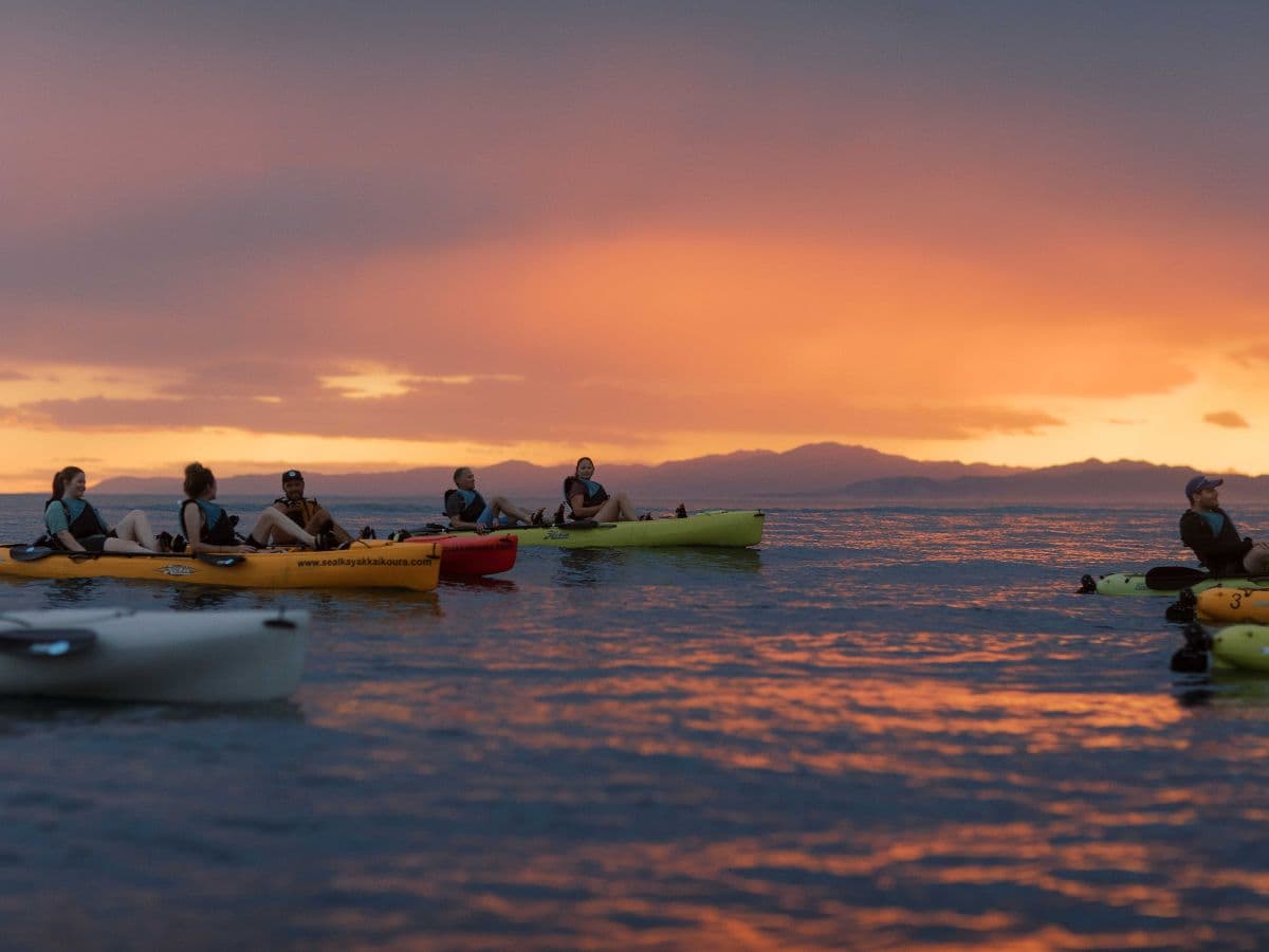 Sunset Marine Life Kayak Tour | Kaikoura