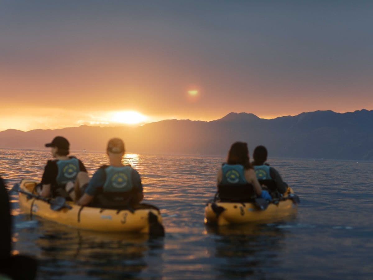 Sunset Marine Life Kayak Tour | Kaikoura