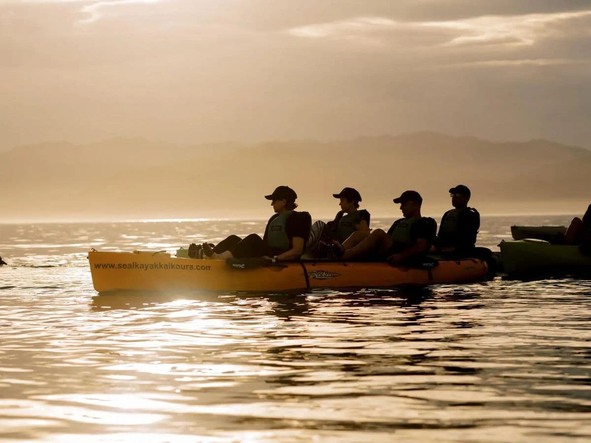 Sunset Marine Life Kayak Tour | Kaikoura