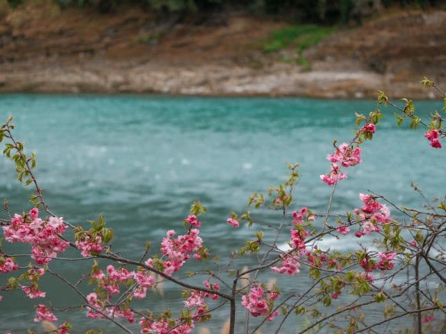 Discover Northwestern Yunnan through UNSECO Three Parallel Rivers region and the sacred Mt. Kawagarbo
