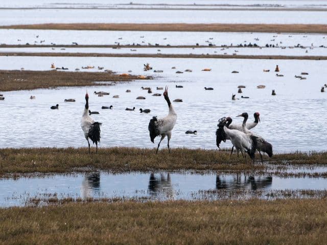 Discover Northwestern Yunnan through UNSECO Three Parallel Rivers region and the sacred Mt. Kawagarbo