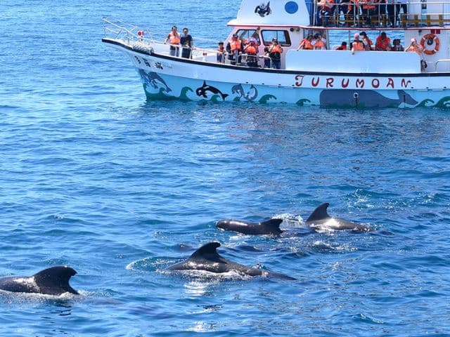 Mountains, Coast & Tea: A Taiwan Adventure