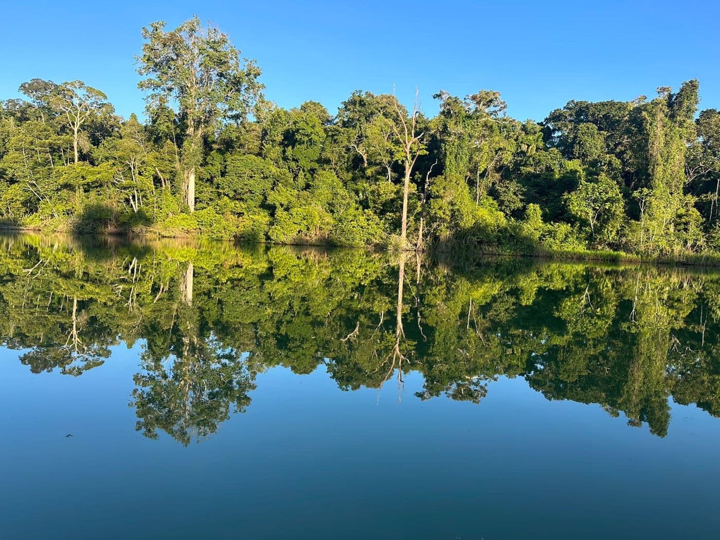 Reconnection Route: Lima, Paracas and Cusco | Peru