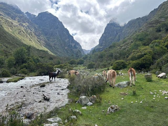 Historic Roads: Cusco and Puno | Peru