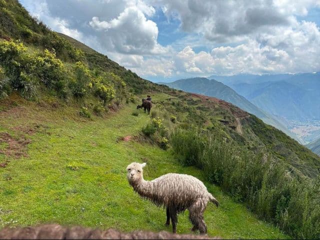 Historic Roads: Cusco and Puno | Peru