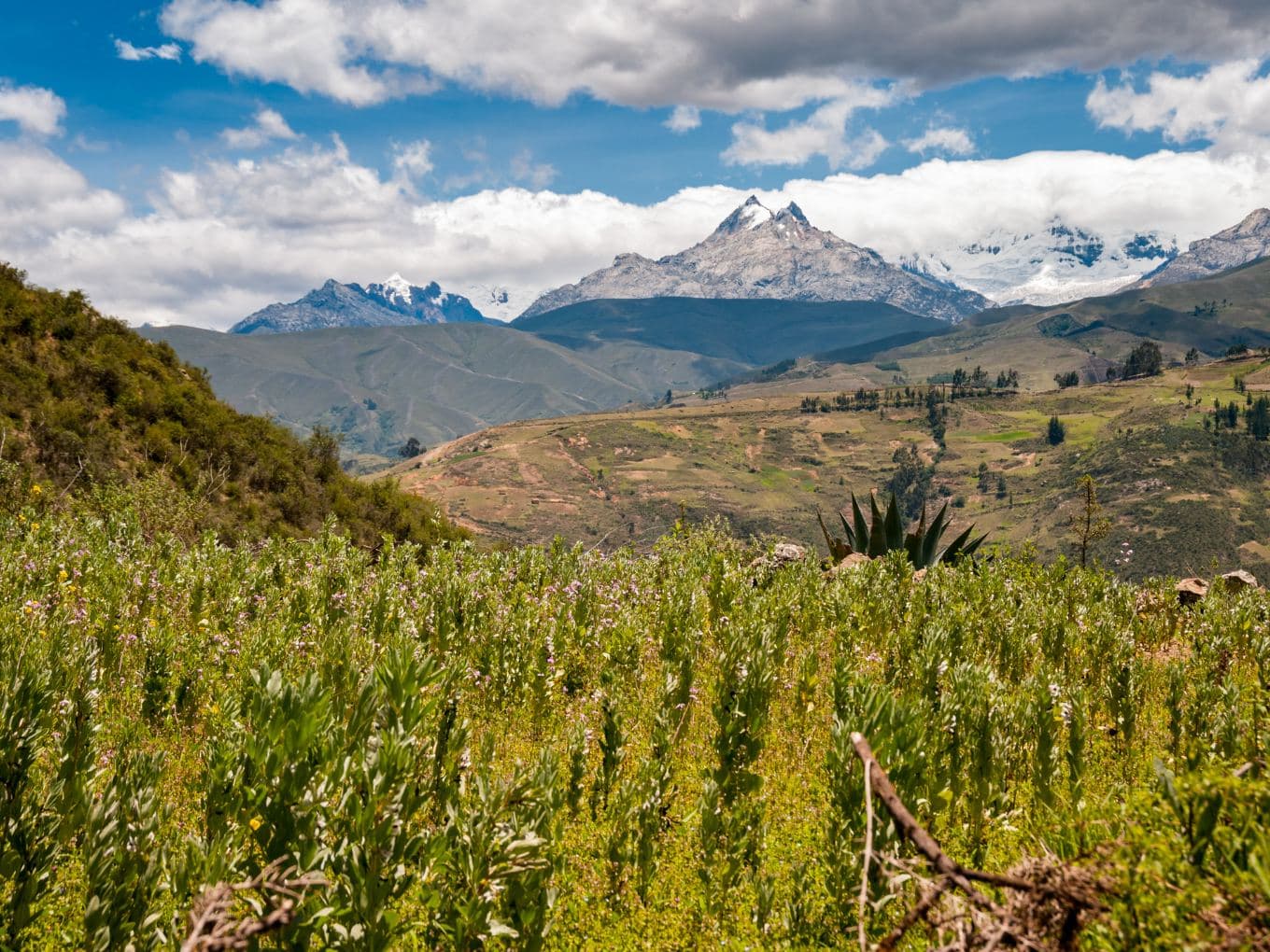 The Andes - Live, Experience and Dream | Peru