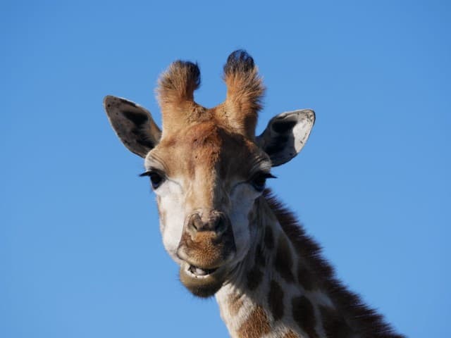 Garden Route| South Africa